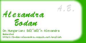 alexandra bodan business card